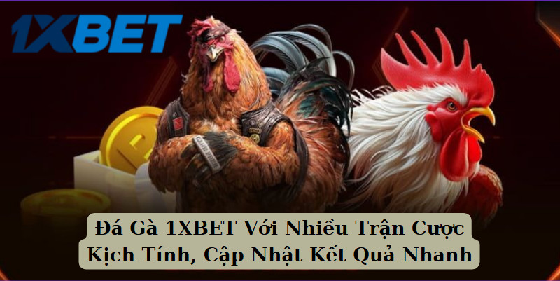 Đá Gà 1XBET Với Nhiều Trận Cược Kịch Tính, Cập Nhật Kết Quả Nhanh